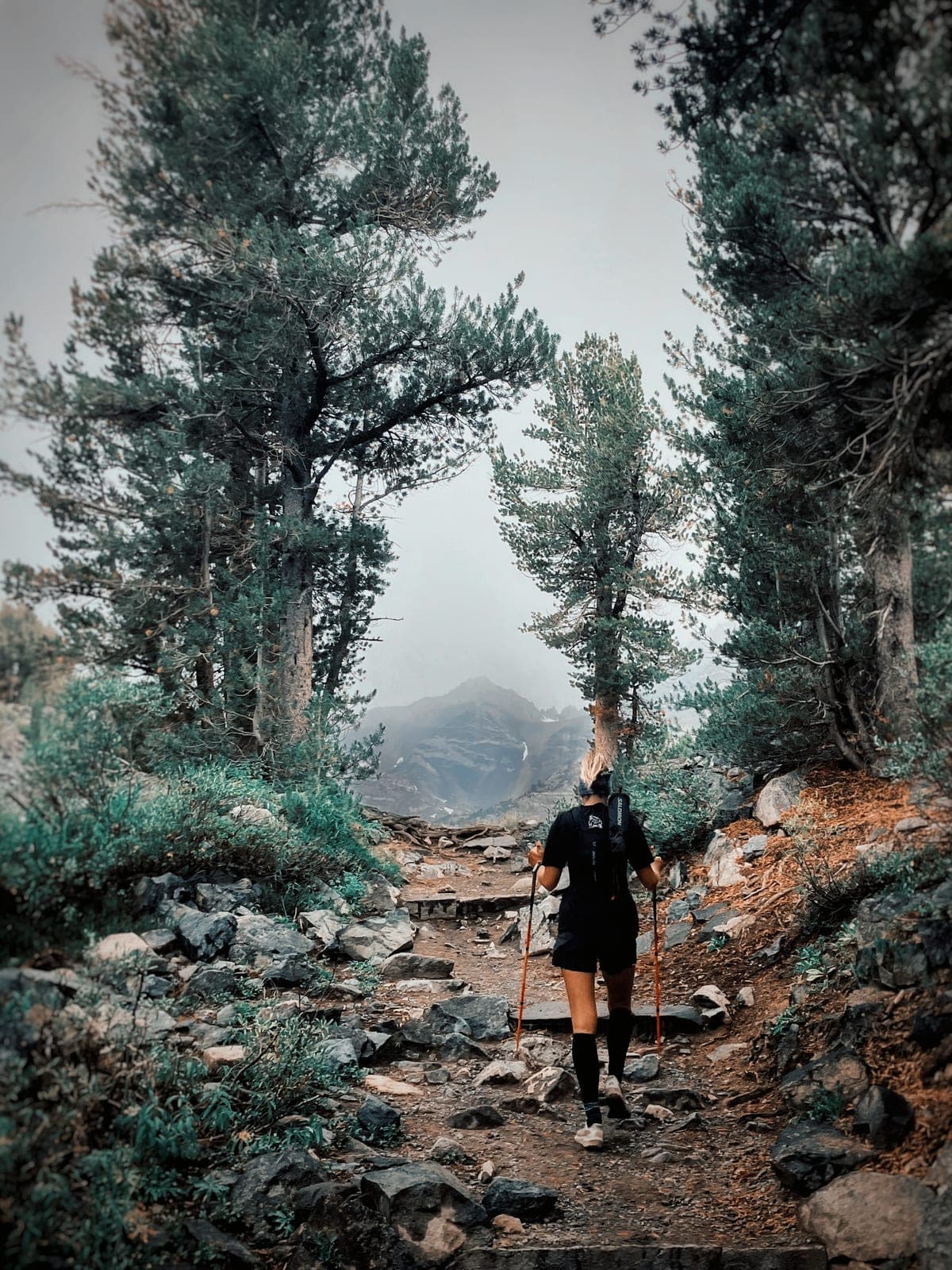 A runner with poles walks a rocky trail between wind-bent pines toward a peak lost in haze