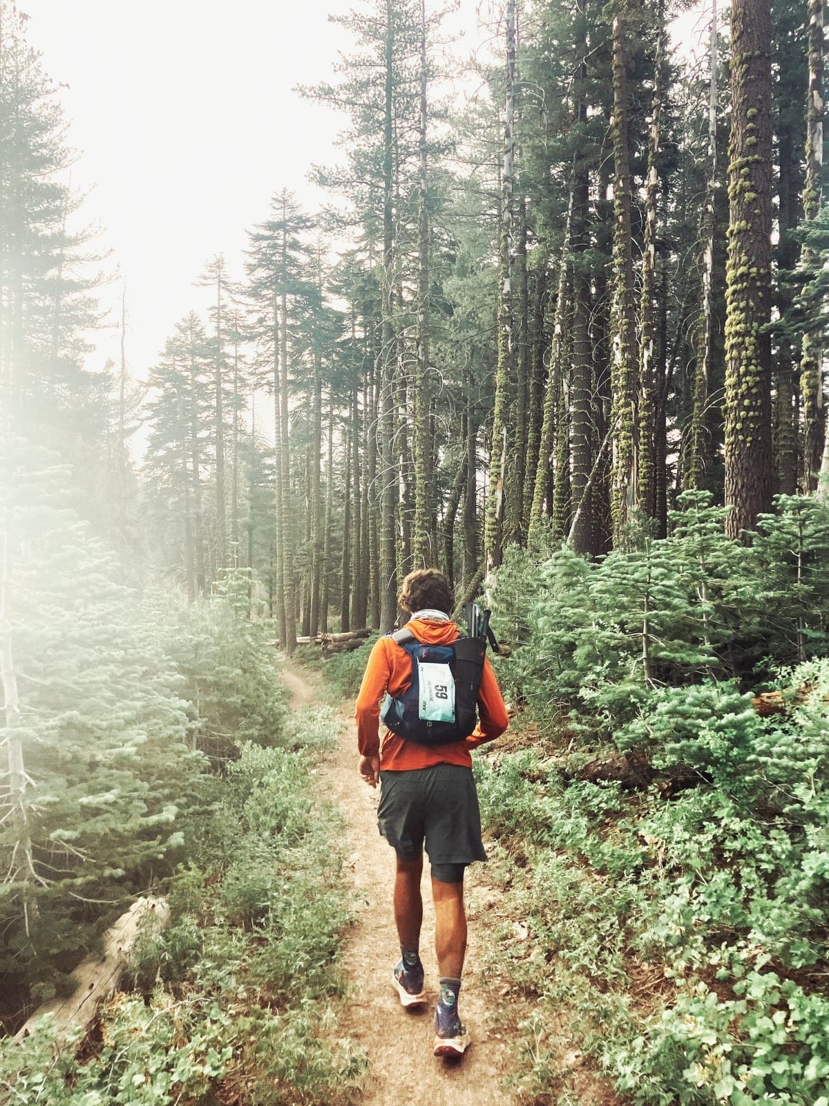 A runner in an orange top, race number on their pack, running singletrack through tall firs in smoky light